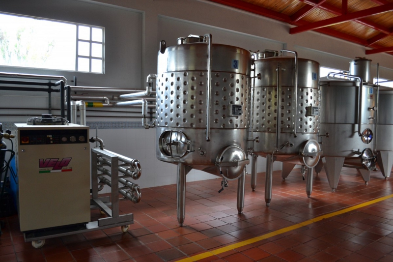 cave-FAYENCE-min_wine_production_cantine_winery_drink_alcohol_vine_beverage-902036